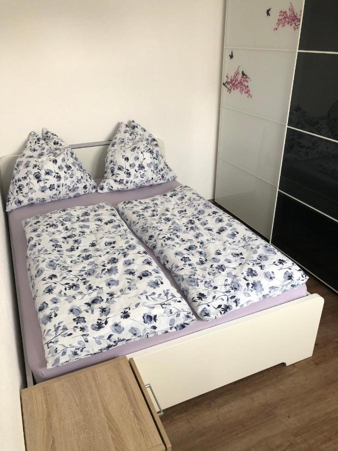 Ferienwohnung Janson Wiesenbach ภายนอก รูปภาพ